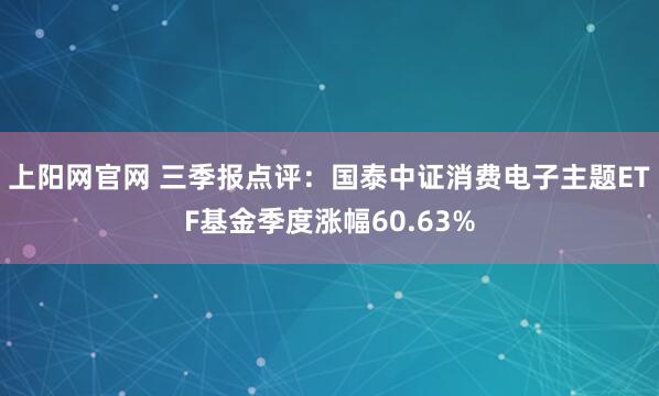 上阳网官网 三季报点评：国泰中证消费电子主题ETF基金季度涨幅60.63%